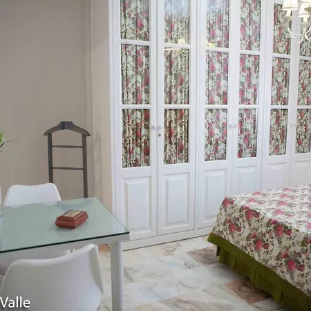 Patios “ El Carmen”